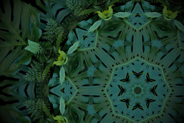 Abstract emerald green background, tropical leaves pattern with kaleidoscope effect.