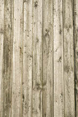 Fototapeta premium Bauholz im Detail