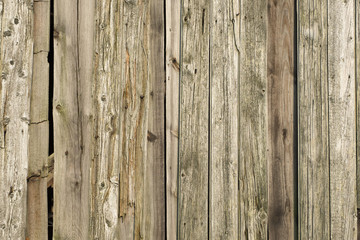 Fototapeta premium Ausschnitt eines Holzschuppens