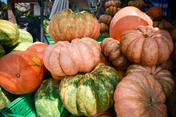 italian ripe pumpkins