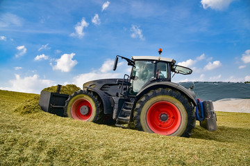 Obraz premium Biogas - maisernte, Schlepper beim Walzen und Planieren eines Maishaufens