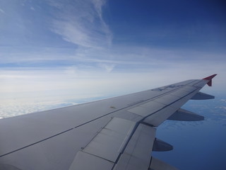 Plane's wing