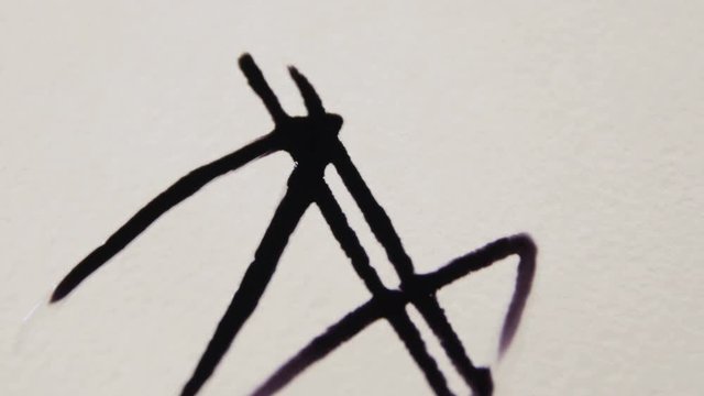 Macro Black Paint Drop Spreads in Flower Petals Form