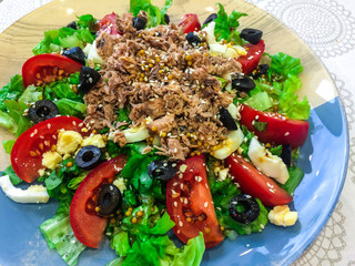 Salad with fresh vegetables and canned tuna