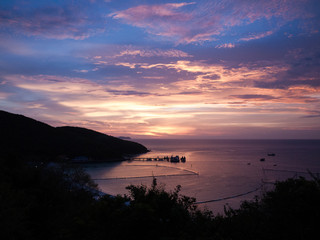 Fototapeta premium dramatic sunset in the coast with silhouette trees