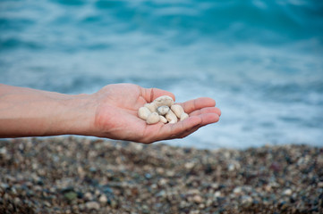Small marble white round stones in human's hand