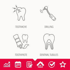 Toothpaste, dental tubules and toothache icons.