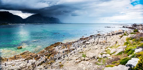 Foto op Canvas Amazing landscape of Betty's Bay © Anna Om