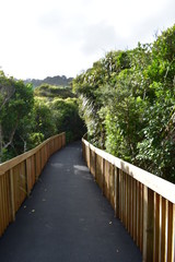 Fototapeta premium New Zealand South Island