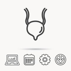 Urinary bladder icon. Human body organ sign.