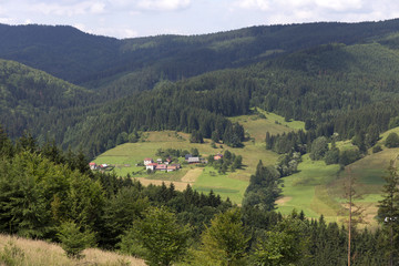 Fototapeta na wymiar Clear green Countryside from the summer Mountains Beskydy in north east Bohemia, Czech Republic