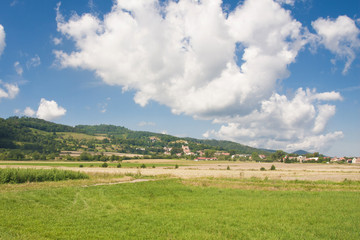 Polish countryside idyllic summer landscape.