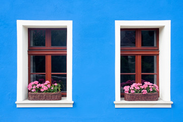 Fototapeta na wymiar Two windows with boxes full of flowers. Blue paint wall background.