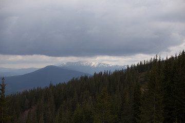 landscape in mountains Carpathians Ukraine