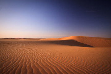Sahara ripples