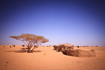 Sahara village