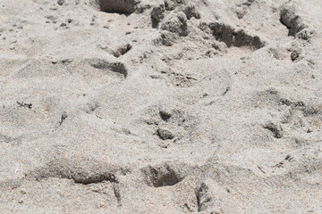 soft vibrant sand