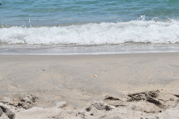 sand and surf