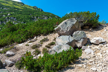 Karkonosze National Park in Poland