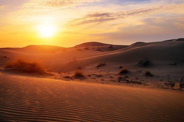 Fototapeta na wymiar Dawn in the dune desert 