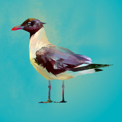 Naklejka premium Painted color seated seagull bird