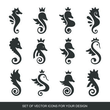Stylized graphic Seahorse. Silhouette illustration of sea life. Sketch for tattoo on isolated white background. Vector flat Set of icons, logo collection
