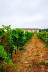 Fototapeta na wymiar Typical chateau with vineyard near Montpellier, Occitaine, South France, red wine grapes