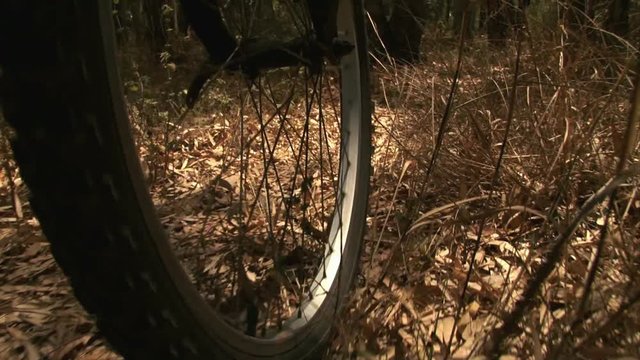 CU bicycles front wheel on forest