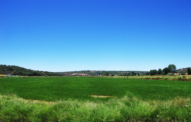 Fototapeta na wymiar green rice field and blue sky at south of Portugal