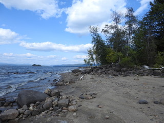 Broadalbin, Sacandaga, Adirondack, lake, Saratoga, beautiful, flower, landscape, background, contrast, nature, natural, beach, sand, lake shore, shore