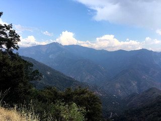 Sequoia National Park, California