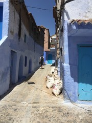 モロッコ　シャウエン　旅