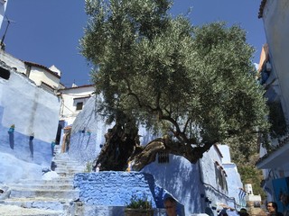 モロッコ　シャウエン　旅