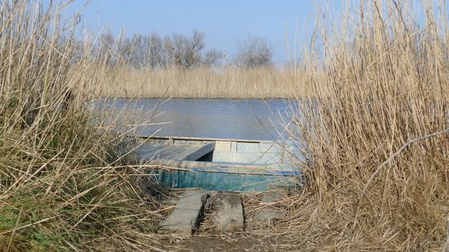 Reed and a boat at a lake