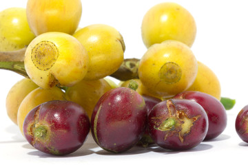Coffee beans on white background
