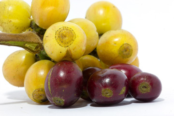 Coffee beans on white background
