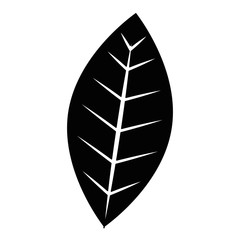 leaf plant isolated icon vector illustration design