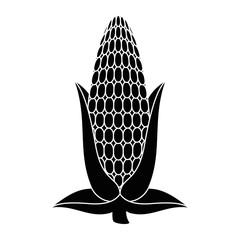 fresh corn cob icon vector illustration design