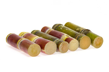Sugar cane
