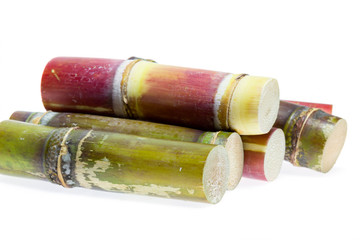 Sugar cane

