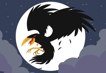 evil mad crow raven in the night