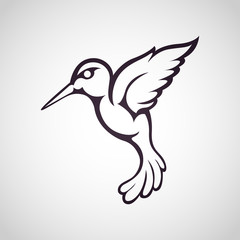 Hummingbird logo Vector illustration