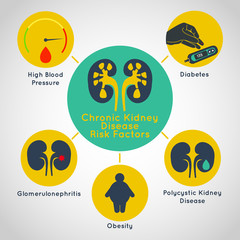 chronic kidney disease risk factors vector icon infographics