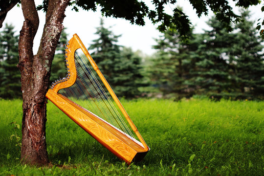 アルパ インディアンハープ(パラグアイ製)