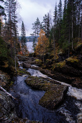 Foreste panorami in Scandinavia paesi del nord, Svezia, Norvegia, Finlandia