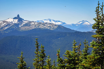 Black Tusk, Whistler, British Columbia, Canada - View of the Black Tusk