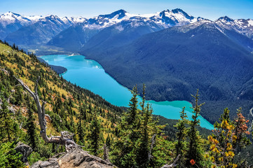 View of the Cheakamus Lake from the Whistler mountain - Hight Note Trail, Whistler, British...