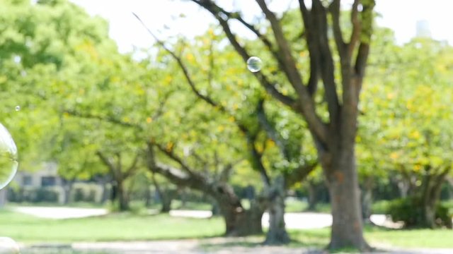 Colorful soap bubbles floating in green park, slow motion

