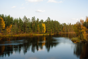 Fototapeta na wymiar Foreste panorami in Scandinavia paesi del nord, Svezia, Norvegia, Finlandia