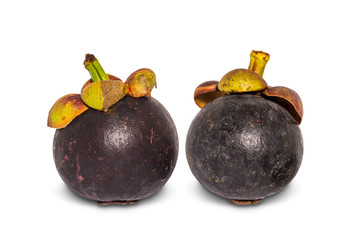 Two ripe mangosteen fruits